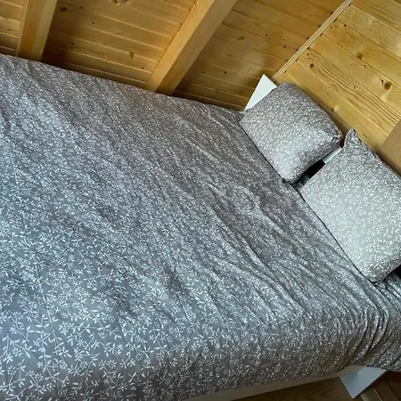 Forest Paradise 维索科