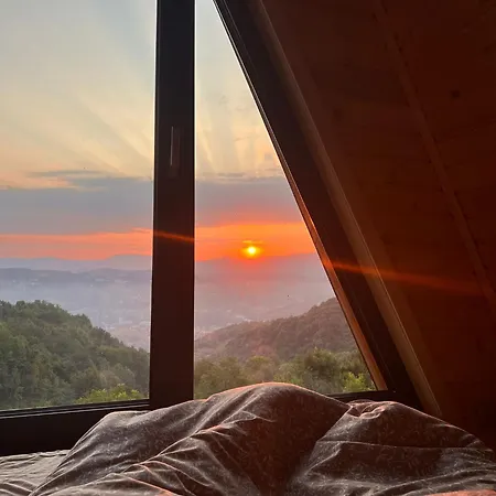 Lejlighed Forest Paradise *