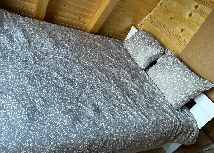 Forest Paradise ヴィソコ